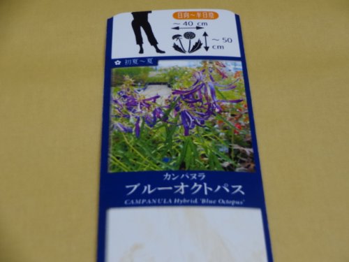 商品アップのお知らせ