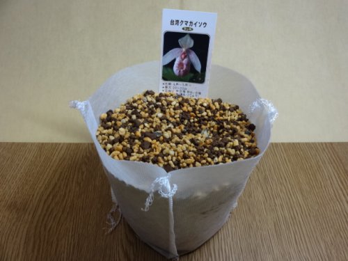 商品アップのお知らせ