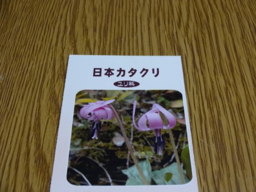 商品アップのお知らせ