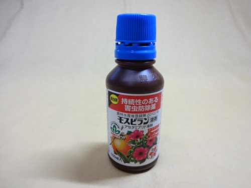 商品アップのお知らせ