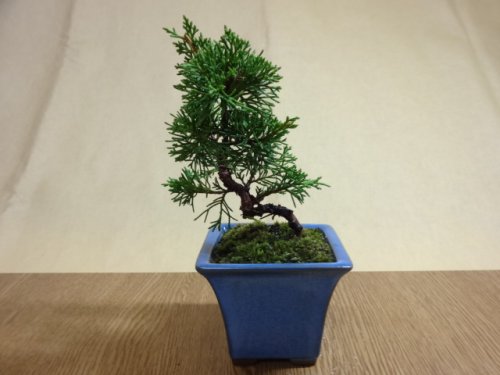 商品アップのお知らせ