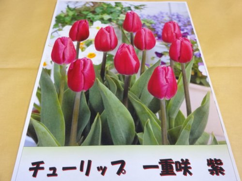商品アップのお知らせ