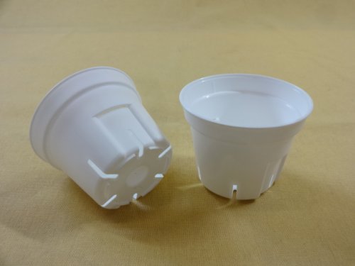 商品アップのお知らせ