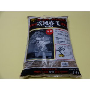 画像1: 二本線赤玉土14ℓ(小粒/中粒/大粒)