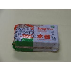画像1: ニュージーランド産水苔(150g)