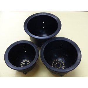 画像1: えびね用プラスチックポット