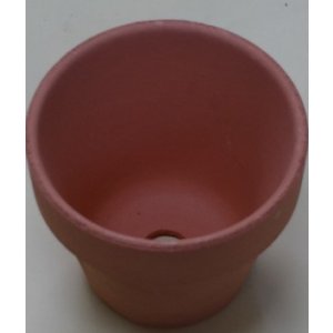 画像4: 素焼き鉢(深/2.5号/120入り)