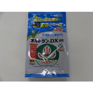 画像1: オルトランDX粒剤1kg入り(住友化学園芸)