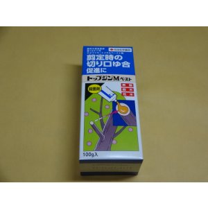 画像1: トップジンMペースト150g