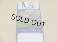 カンパニュラ ブルーオクトパス
