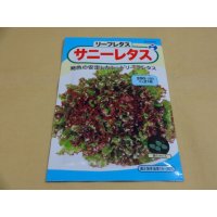 サニーレタス