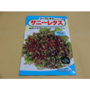 画像1: サニーレタス