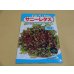 画像1: サニーレタス (1)