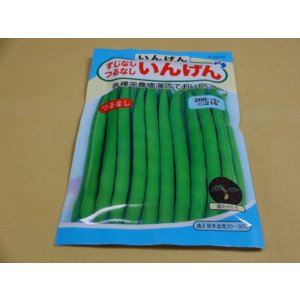 画像1: すじなし つるなし いんげん