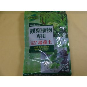 画像1: 観葉植物専用培養土(5ℓ)　