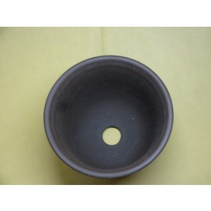 画像2: エビネ鉢帯入(ウ泥) 5号