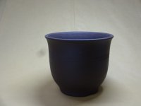 エビネ鉢帯入(ウ泥) 5号