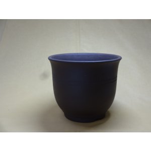 画像1: エビネ鉢帯入(ウ泥) 5号