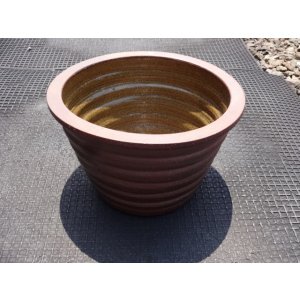 画像1: 睡蓮鉢(4)