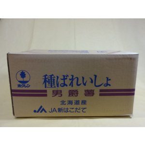 画像1: 種芋 男爵