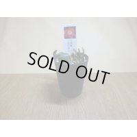 雪割草 二段咲 日溜り