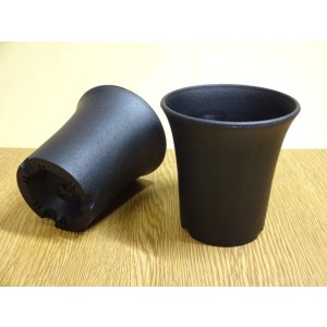 画像1: ミニラン鉢 3号