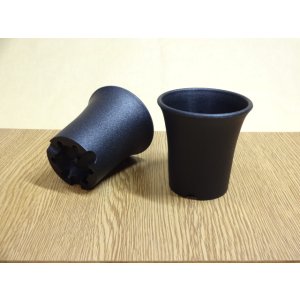 画像1: ミニラン鉢 2.5号