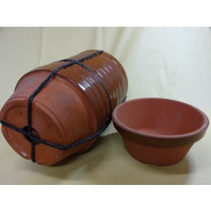 画像1: 園芸鉢(浅/8号/10入)