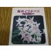 画像3: 桃花イワタバコ (3)