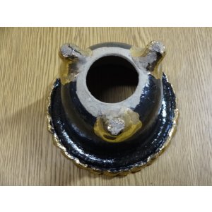 画像3: フチ金富貴蘭鉢 4号