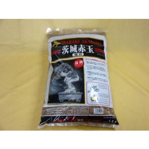 画像1: 二本線硬質赤玉土 中粒(2L)
