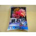 画像1: 軽石砂・中粒(2L) (1)