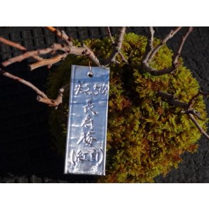 画像4: 吊り式 消えないラベル(大) 5枚入