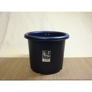 画像1: 菊プラ鉢/6号