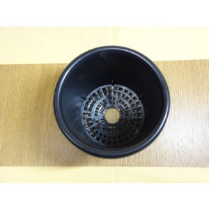 画像2: ニュー菊鉢/5号