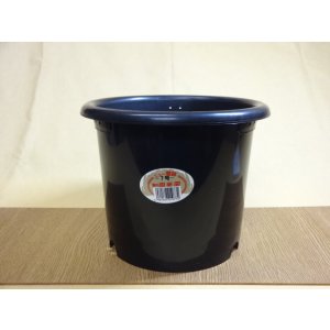 画像1: ニュー菊鉢/7号