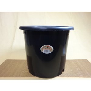画像1: ニュー菊鉢/9号