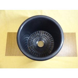 画像2: ニュー菊鉢/9号