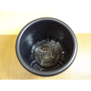 画像2: 菊プラ鉢/6号