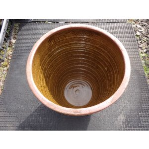 画像2: 睡蓮鉢(17)