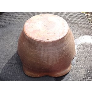 画像3: 睡蓮鉢(19)