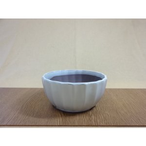 画像1: 5号 クリーム菊型