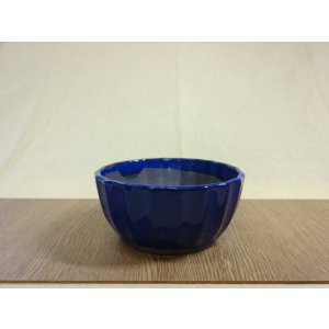 画像1: 5号 生子菊型