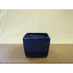 画像1: 4号 生子正角