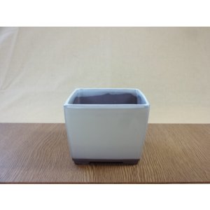 画像1: 4号 クリーム正角