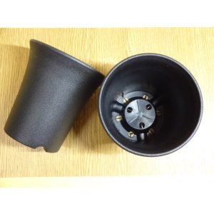 画像2: ミニラン鉢 3.5号