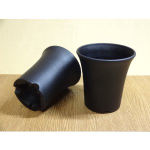 画像1: ミニラン鉢 3.5号