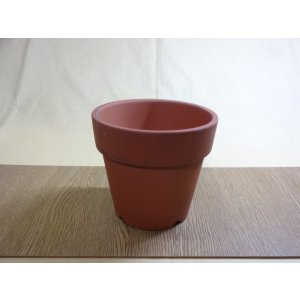 画像1: 朱温鉢/深/4.5号