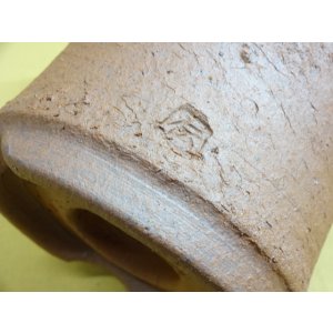 画像4: 伝市鉢 モミ入り シャジン鉢4.5号
