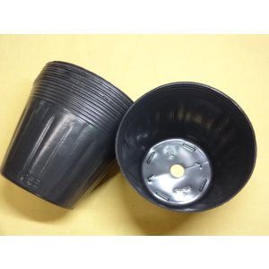 画像2: ノーマルポット黒丸135 (10入)
